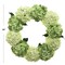 2-Pack: 24" Mixed Green Hydrangea Wreath with Grapevine Ring, Floral Home by Artificial Flowers